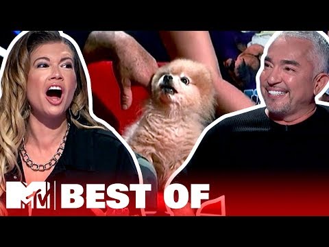 Cute (& Terrifying!) Dog Moments ? Best Of: Ridiculousness | #AloneTogether