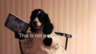 Dog acting like human – Funny video!
