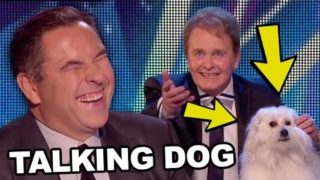 TALKING…DOG! Real Life Talking Dog Sends The Audience CRAZY!