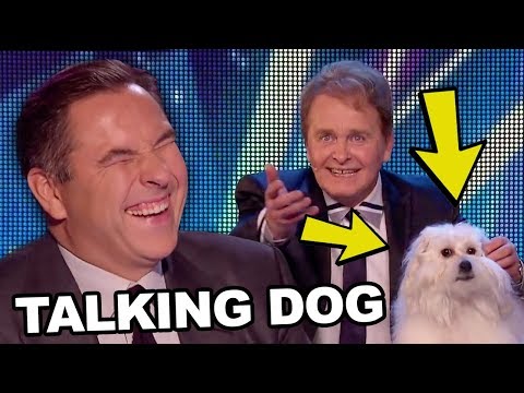 TALKING…DOG! Real Life Talking Dog Sends The Audience CRAZY!