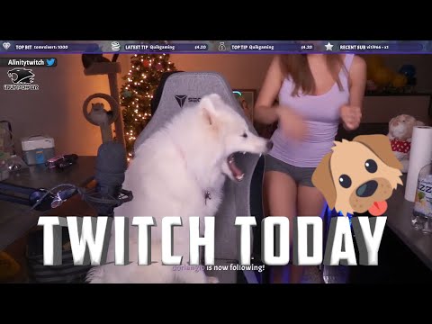 TWITCH FUNNY DOG MOMENTS #1
